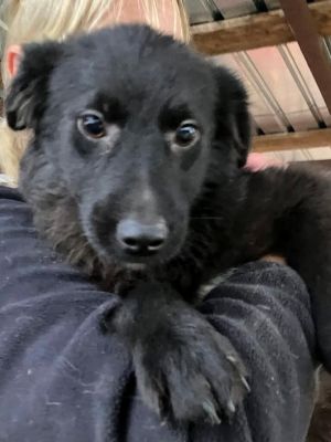 593611377 25350840817889839 353176759910473944 n