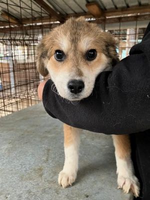 594070600 25350736234566964 6226292297367483603 n