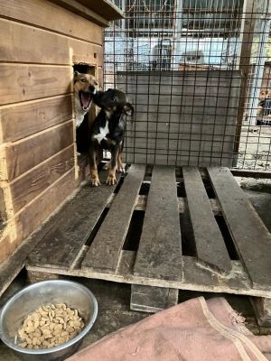 594078056 25408003442173576 6409106742774886704 n