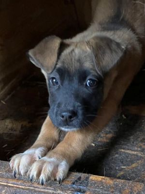 596037590 32612200865090613 1910031066942570822 n