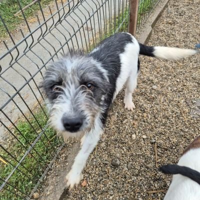 597147660 1697314464575204 511009882693656800 n