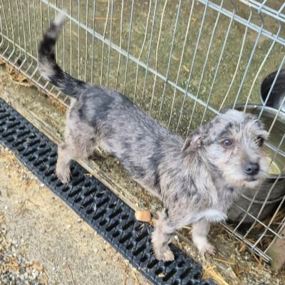 597220930 1905956036952403 1779129499808836973 n