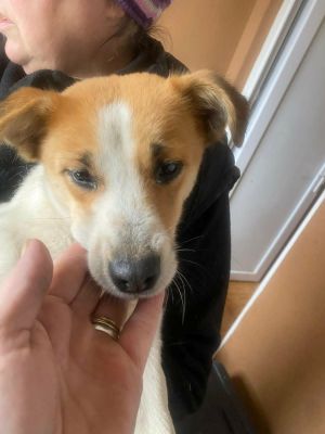 597240342 1513592186362398 7302266918930546036 n