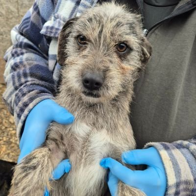 597564691 1183233470594463 4415376553889001255 n