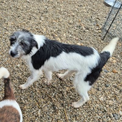 597606934 843587571612021 5321285374300935541 n