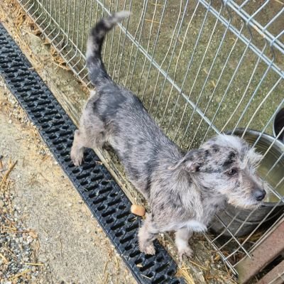 597638177 2016288605581137 8336707275101629357 n