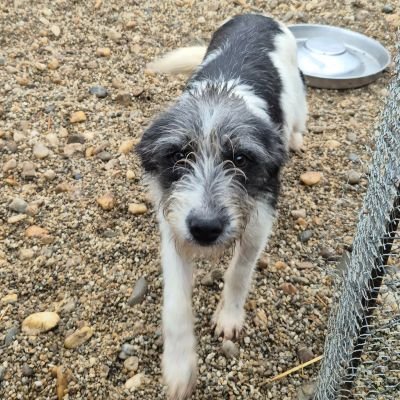 597641777 790384920693654 8062730032921408877 n