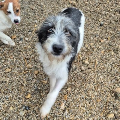 597848179 1189215719399643 7787499709841612986 n