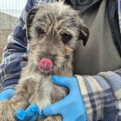 597891303 1556052508777562 4103675461076795356 n