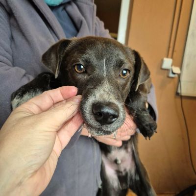 597916309 1443470657384062 3830243457047662979 n