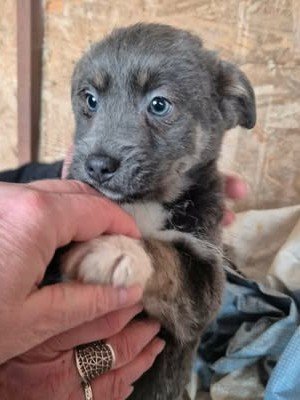 597916791 1520676969010144 1442393344346535845 n