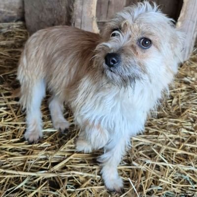 598181580 1376110183954702 785999797382726781 n