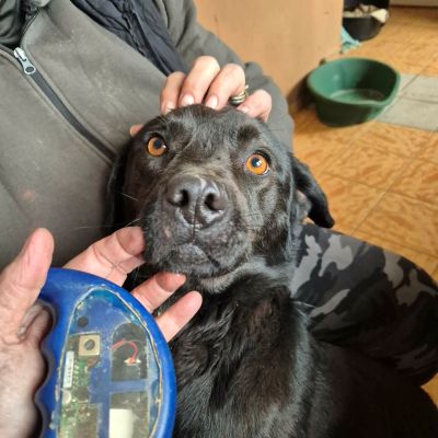 598235266 878509408277391 6750167282684469390 n