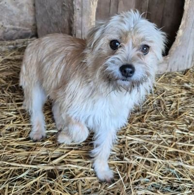 598302161 884572337353853 7562763127928987697 n