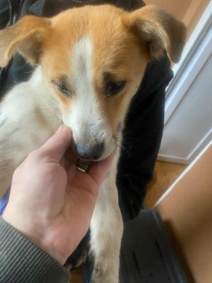 598655017 1625640434985733 5079229940335560850 n