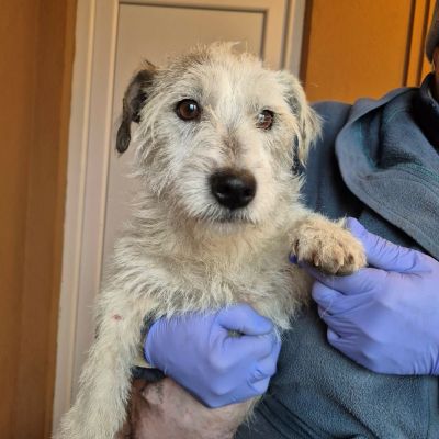 598771315 1254041073508053 6045304676287825094 n