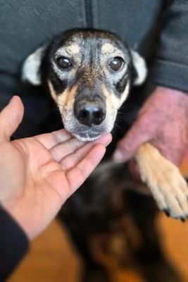 598780612 25502488749391711 6182189232775416817 n