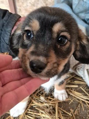 598814689 1552824909284796 7423272549225016688 n