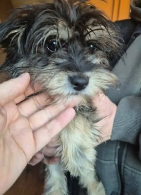 598824956 25502642986042954 480365906812211883 n (1)