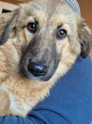 598836902 25502864139354172 7535101765646852580 n