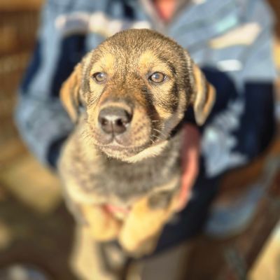 598873334 838606048991213 8515530747281707562 n