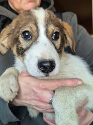 598886456 25502798389360747 5138788327366243374 n