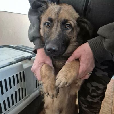 598918867 896736926127259 2133628955425186297 n