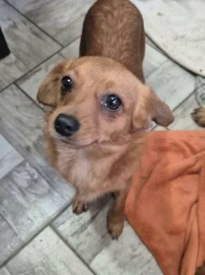 598934352 6224926467649143 4864510687901144551 n