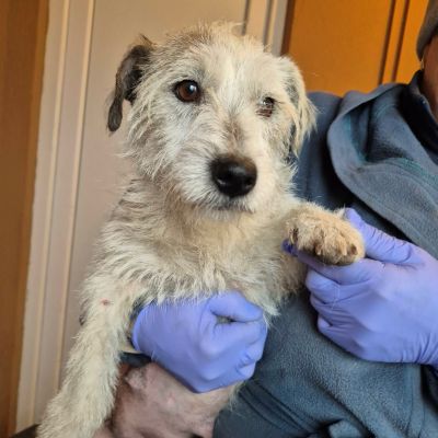 599503681 927063956312293 4093139224011494160 n