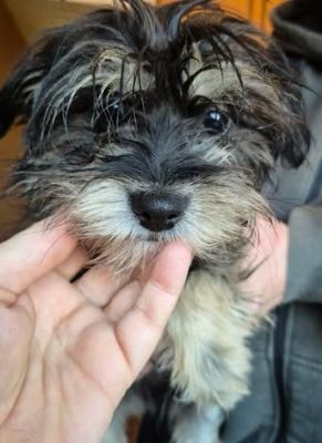 599925942 25502643336042919 7530777541249451033 n