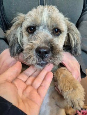 599945709 25502573759383210 456529236650102354 n