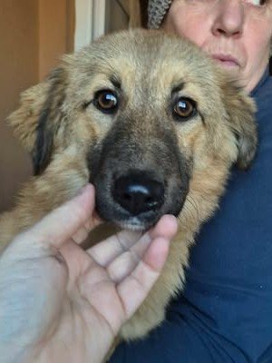 599948972 25502863929354193 2562722776082838881 n