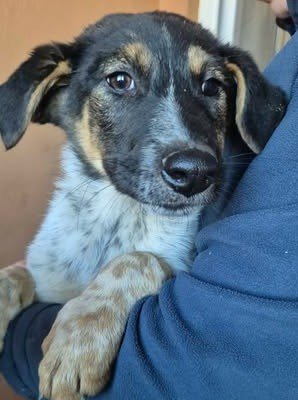 599949098 25502825846024668 4826964560025030107 n