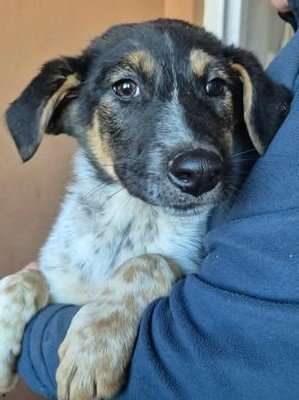 599950074 25502825676024685 4963590852887698257 n