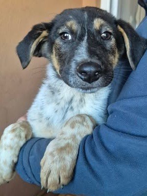 599953907 25502826192691300 5325777256639939112 n