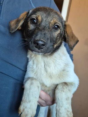 599959627 25502748489365737 1789458895911614277 n