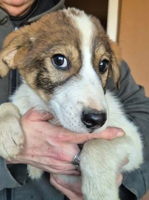 600185997 25502798432694076 2927289993886173797 n