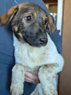 600297646 25502748326032420 1789036147628190840 n