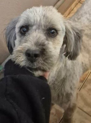 600303671 25502574409383145 4814257765334611308 n