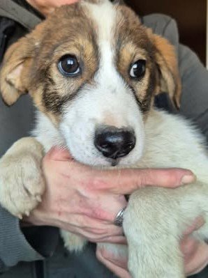 600317981 25502798696027383 5264266005550341508 n