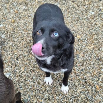 601167862 1406156597062525 2728441194167827939 n