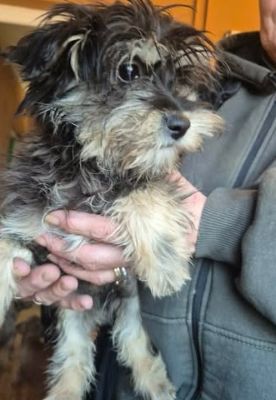 602397517 25502643522709567 7829787338627014732 n