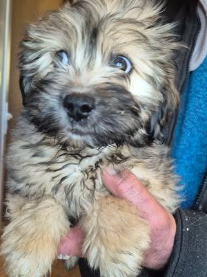 602923574 25556694473971138 5484889082769097763 n