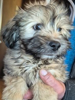 603848080 25556693710637881 1652205206941100185 n