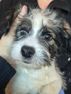 603938027 25556630960644156 2769775135664793350 n