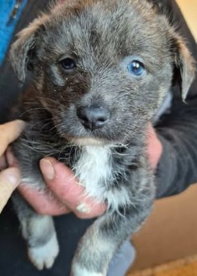 604680892 25556327094007876 8471556860975090751 n