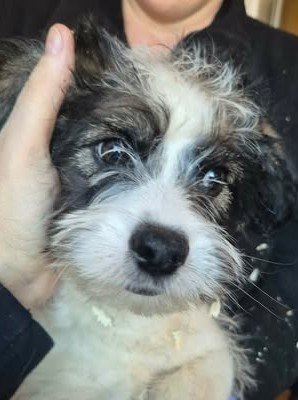 605122073 25556631137310805 5081923009087890586 n