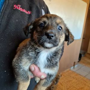 605130780 25556190667354852 3859826251377836032 n