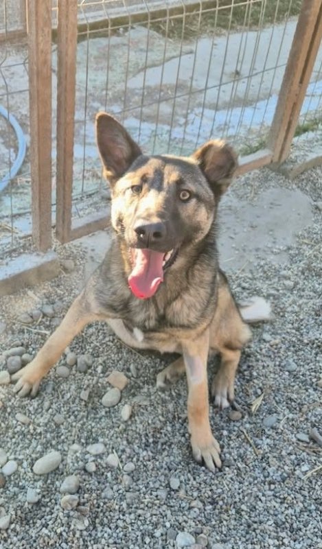 605177879 25576323562008229 4827008590350292492 n