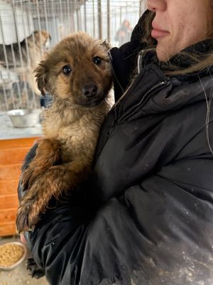 605296666 32905269435783753 5938915856025849048 n